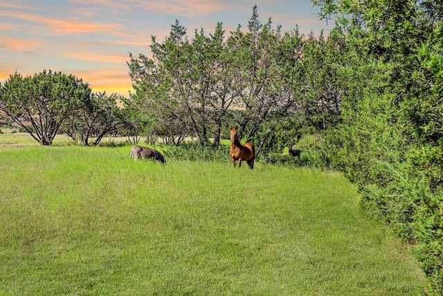 3656 Rr 2657, Copperas Cove, TX 76539 - yard at dusk featuring a rural view