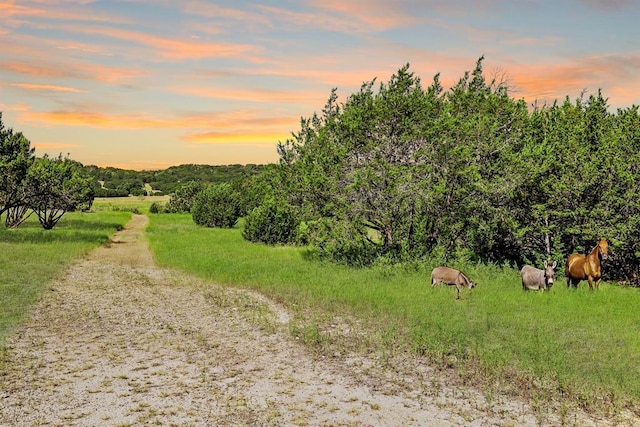 3656 Rr 2657, Copperas Cove, TX 76539 - view of local wilderness featuring rural landscape