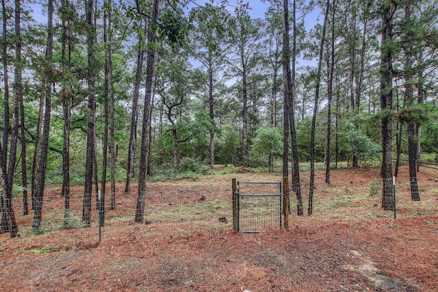 115 Loblolly Ln, Bastrop, TX 78602 - view of yard with a gate and fence