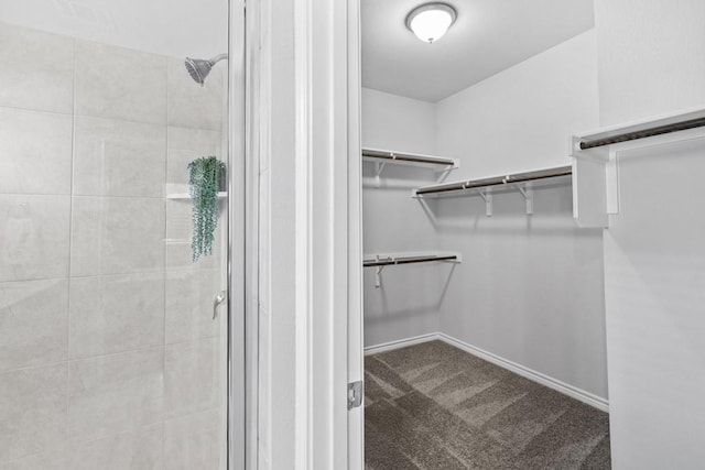 1808 Pecan Island Dr, Leander, TX 78641 - spacious closet featuring carpet
