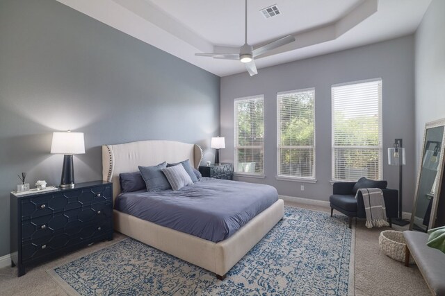 4207 Lazy River Bnd, Cedar Park, TX 78613 - bedroom featuring carpet, a raised ceiling, and a ceiling fan
