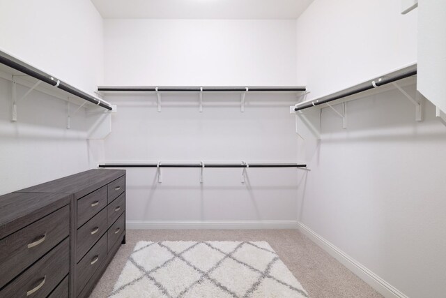 spacious closet with light carpet