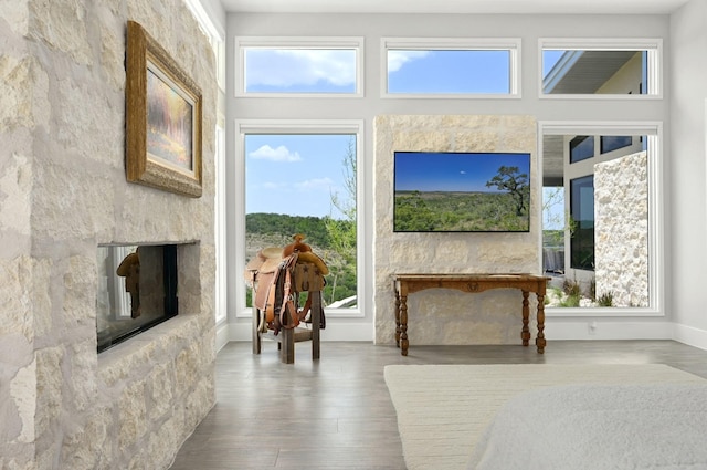 1785 Backbone Rdg, Wimberley, TX 78666 - living area featuring a glass covered fireplace and wood finished floors