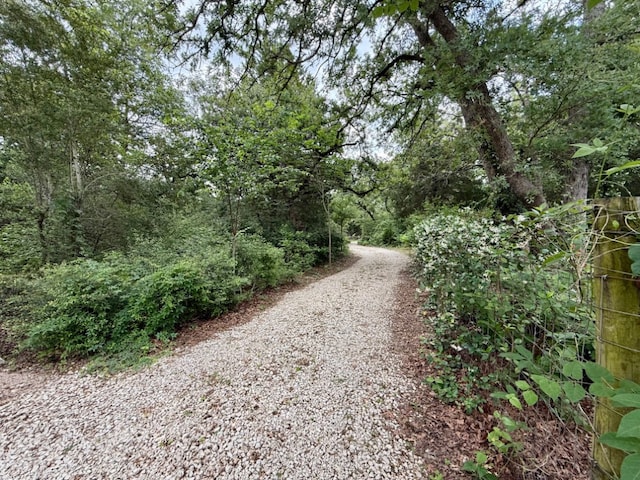1411 County Rd Unit B, Lexington, TX 78947 - photo 34