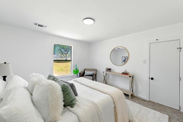 337 Forest Lake Dr, Del Valle, TX 78617 - view of carpeted bedroom