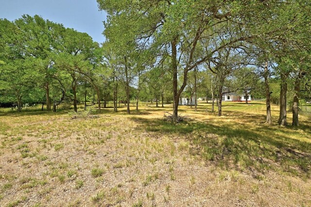 337 Forest Lake Dr, Del Valle, TX 78617 - view of yard