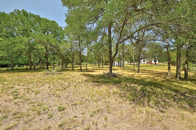 337 Forest Lake Dr, Del Valle, TX 78617 - photo 29