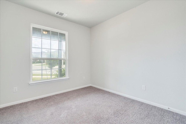518 Algaroba Loop, Buda, TX 78610 - photo 16