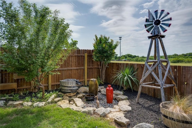 205 Talon Grasp Trl, Leander, TX 78641 - view of yard