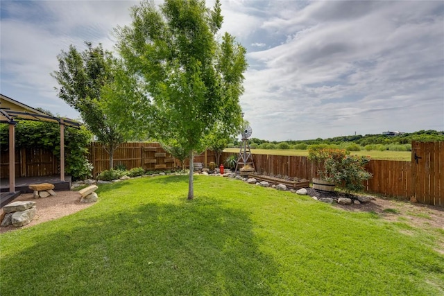 205 Talon Grasp Trl, Leander, TX 78641 - view of yard