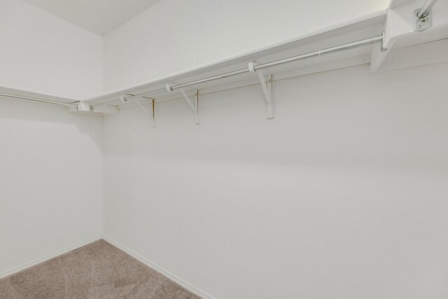 spacious closet with carpet