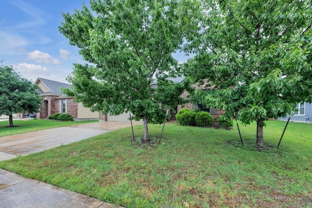 obstructed view of property featuring concrete driveway, brick siding, and a front yard