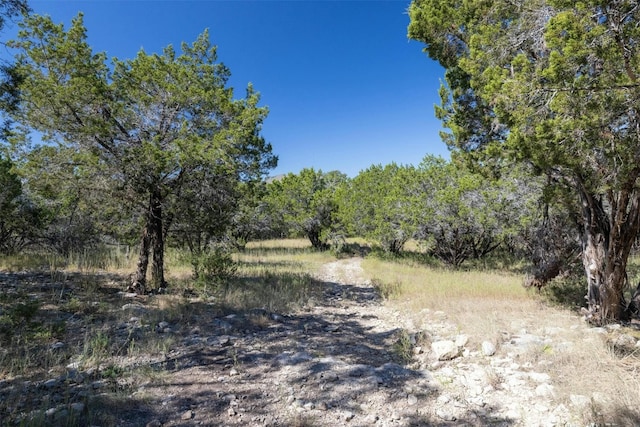 412 S Bear Creek Rd, Liberty Hill, TX 78642 - photo 1