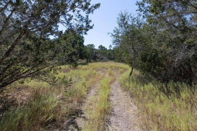 412 S Bear Creek Rd, Liberty Hill, TX 78642 - photo 4