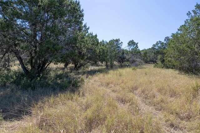 412 S Bear Creek Rd, Liberty Hill, TX 78642 - photo 7