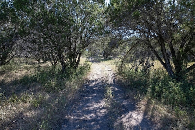 412 S Bear Creek Rd, Liberty Hill, TX 78642 - photo 10