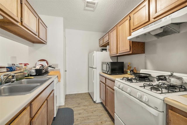 515 Sierra Cv, Round Rock, TX 78664 - kitchen with white appliances, under cabinet range hood, a sink, light wood-type flooring, and light countertops