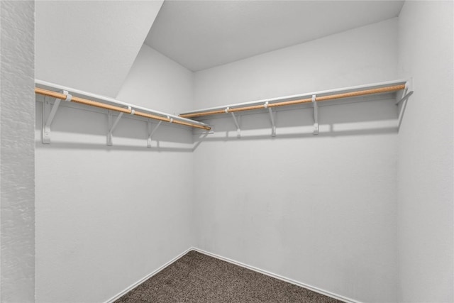 625 Taggart Trl, Jarrell, TX 76537 - walk in closet featuring carpet