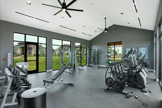 305 Golden Sage Ave, Georgetown, TX 78633 - workout area featuring ceiling fan and high vaulted ceiling
