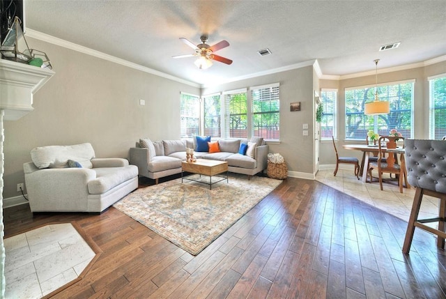 11805 Lake Stone Dr, Austin, TX 78738 - living area featuring baseboards, ceiling fan, wood-type flooring, crown molding, and a textured ceiling