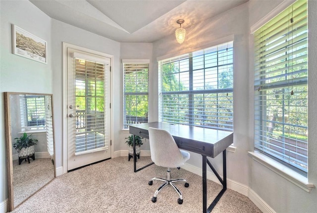 11805 Lake Stone Dr, Austin, TX 78738 - office space with plenty of natural light, vaulted ceiling, baseboards, and carpet flooring