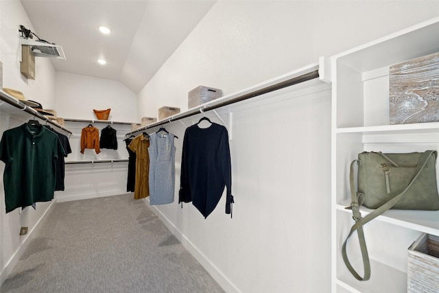217 Northcrest Dr, Liberty Hill, TX 78642 - walk in closet with carpet and lofted ceiling