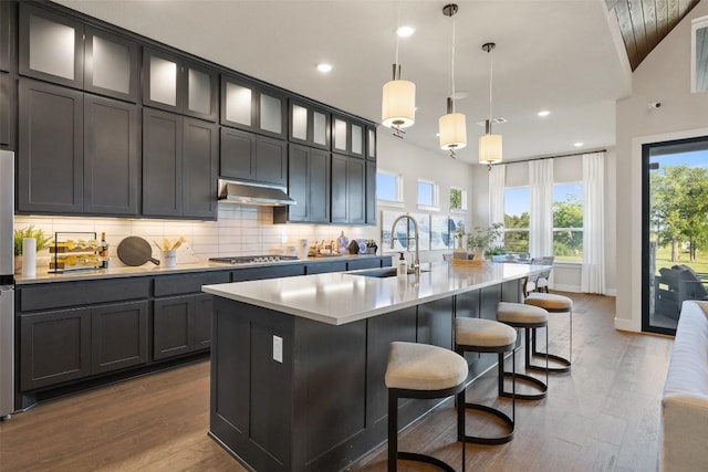 217 Northcrest Dr, Liberty Hill, TX 78642 - kitchen with stainless steel gas cooktop, a sink, under cabinet range hood, wood finished floors, and recessed lighting