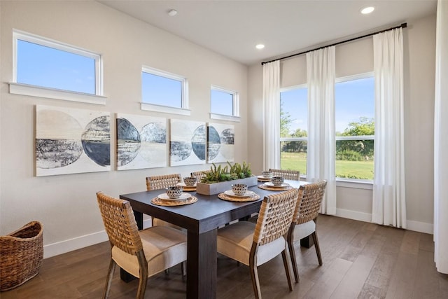 217 Northcrest Dr, Liberty Hill, TX 78642 - dining space with baseboards, wood finished floors, and recessed lighting