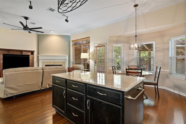 11008 Needham Ct, Austin, TX 78739 - kitchen featuring dark cabinets, a fireplace, ornamental molding, decorative light fixtures, and ceiling fan