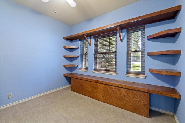 11008 Needham Ct, Austin, TX 78739 - photo 28