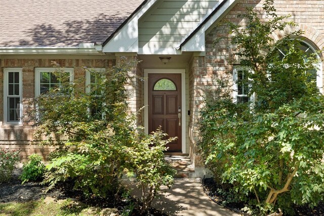 11008 Needham Ct, Austin, TX 78739 - photo 4