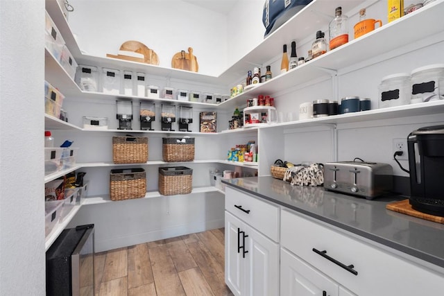 513 Red Yucca Ct, Liberty Hill, TX 78642 - view of pantry