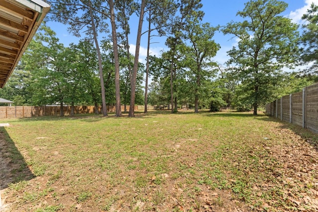 view of yard