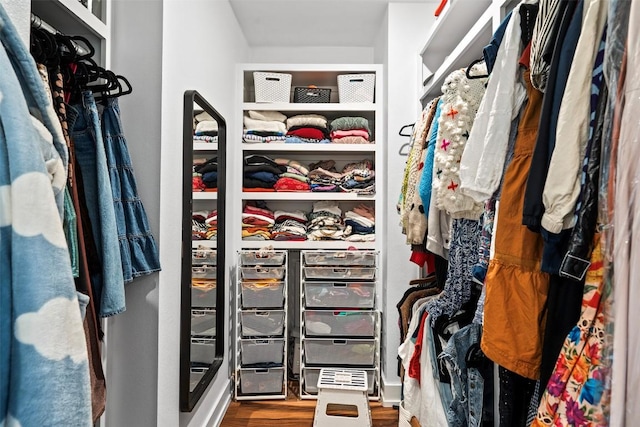 walk in closet featuring wood finished floors