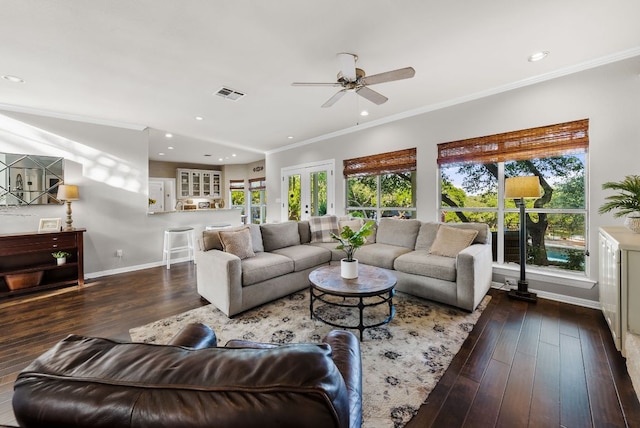 8909 Gallant Fox Rd, Austin, TX 78737 - living room with plenty of natural light, baseboards, wood-type flooring, ceiling fan, and ornamental molding