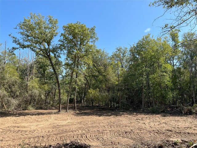 LOT29D Mesquite Dr, Cedar Creek, TX 78612