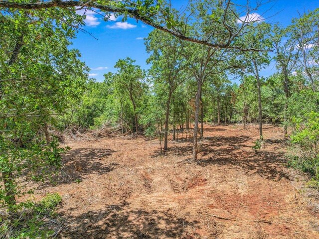 LOT29D Mesquite Dr, Cedar Creek, TX 78612