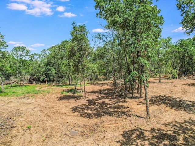 LOT29D Mesquite Dr, Cedar Creek, TX 78612
