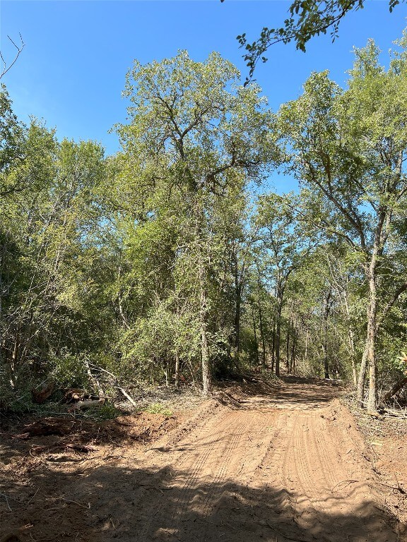 LOT29D Mesquite Dr, Cedar Creek, TX 78612