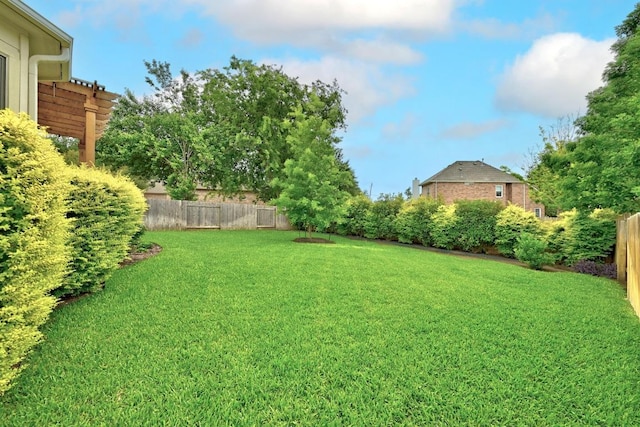 view of yard