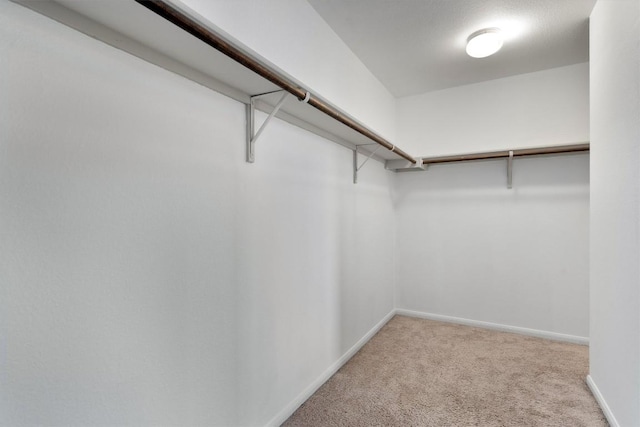 spacious closet with carpet flooring