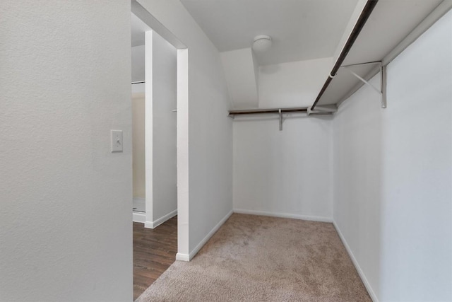 walk in closet featuring carpet floors
