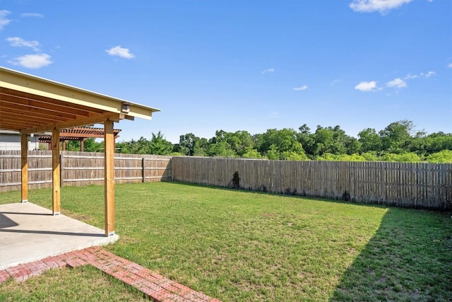 15013 Roody Ln, Austin, TX 78725 - view of yard with a patio area