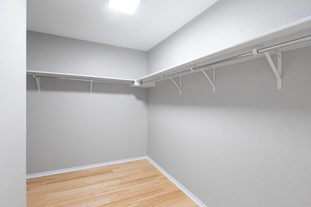 601 Abundance Ln, Kyle, TX 78640 - walk in closet featuring wood finished floors
