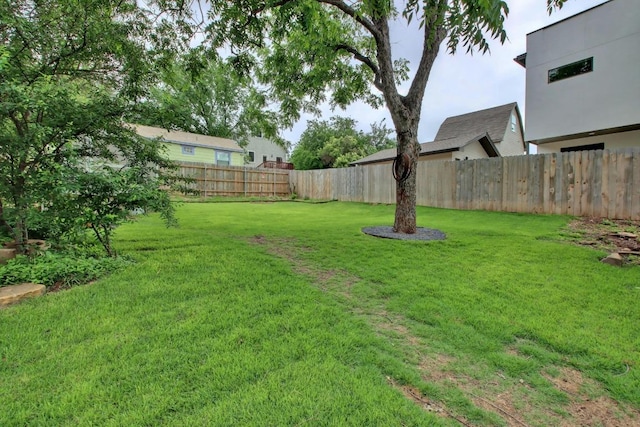 2000 E 8th St, Austin, TX 78702 - view of yard