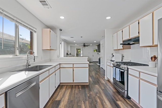 kitchen with stainless steel appliances, a sink, under cabinet range hood, a peninsula, and dark wood-style flooring