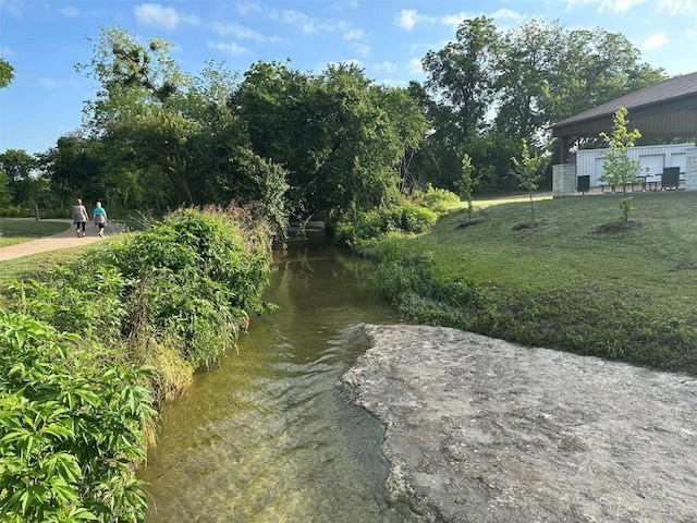 water view featuring a tree filled landscape