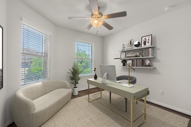 113 Evening Dusk Dr, Kyle, TX 78640 - home office featuring wood finished floors and a ceiling fan