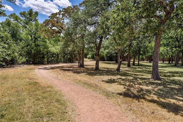 1716 Elaina Loop, Leander, TX 78641 - photo 37