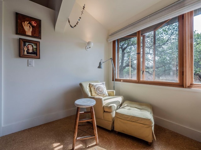 900 Pedernales Oaks Dr, Johnson City, TX 78636 - sitting room featuring baseboards, plenty of natural light, and lofted ceiling